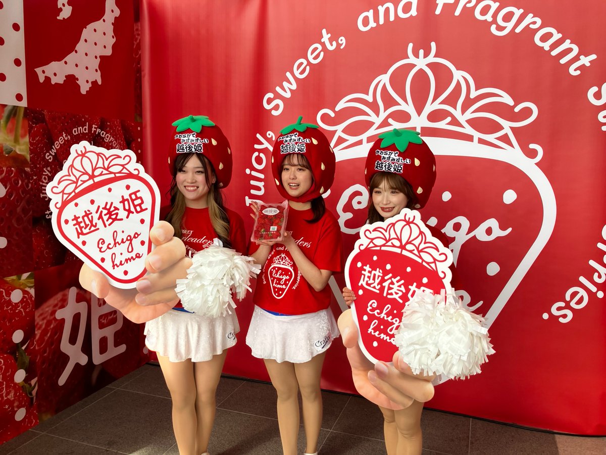 🍓にいがた酒の陣2026🍓 朱鷺メッセ2Fエスプラナード 越後姫
