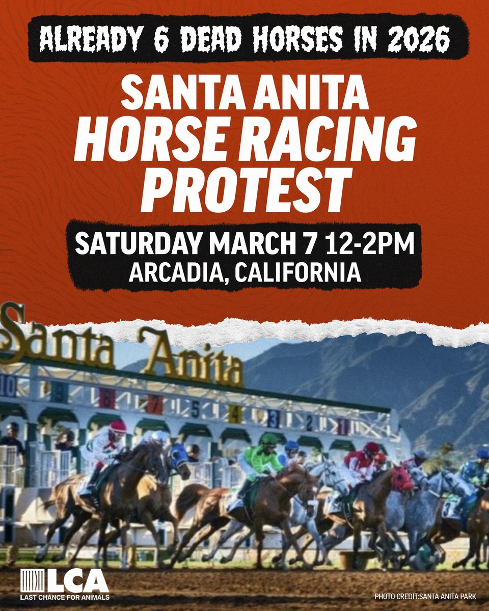 Last Chance for Animals tweet media