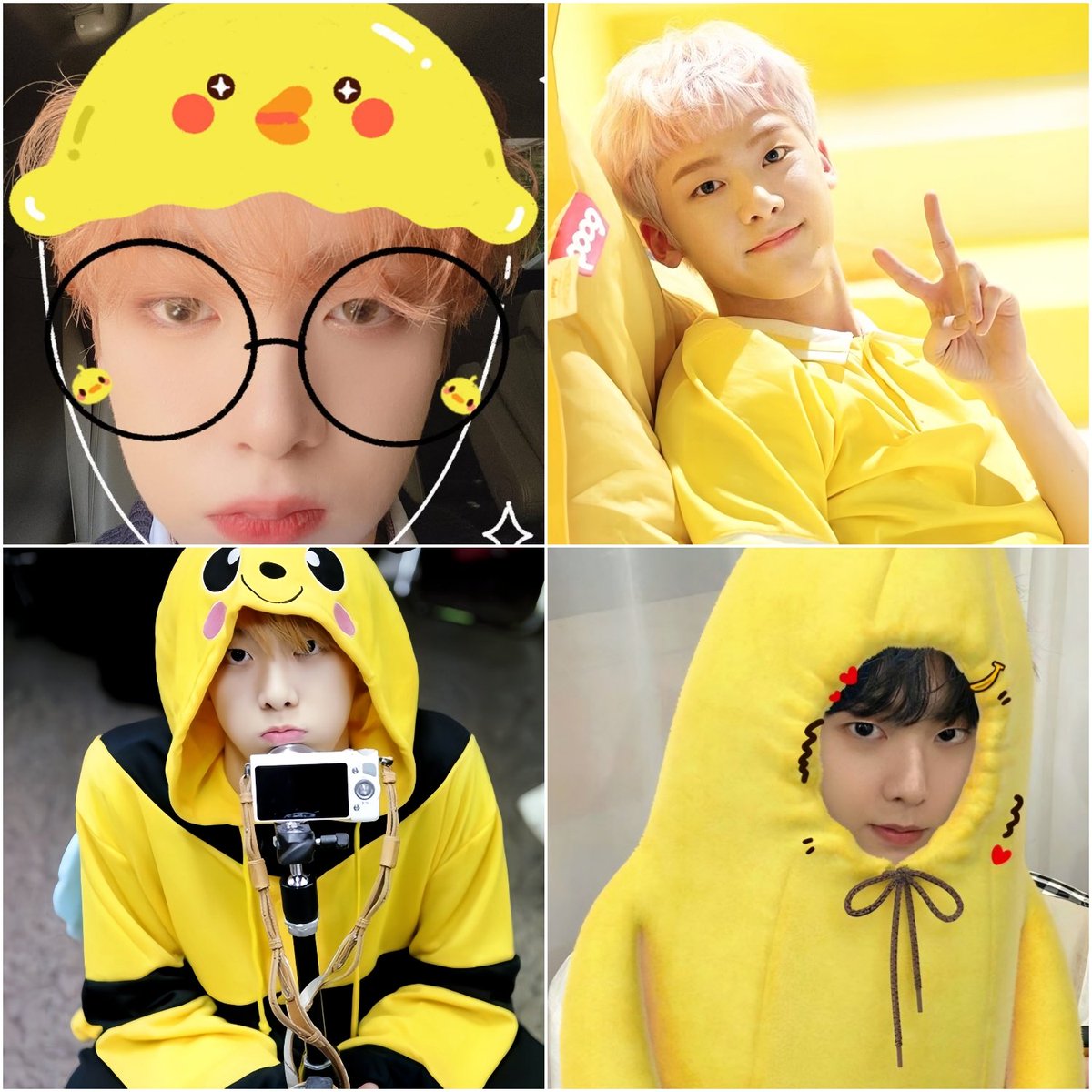 DdanKong126321's tweet image. 역시 사나잇 드코 노랑이였으~~😅
사나잇 병아리 떼 출몰 예정 🐥🐥🐥💛
#사나잇 #윤산하 #아로하 #노랑드코