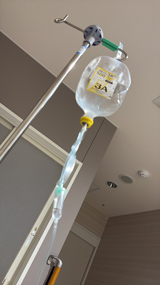 まるい tweet media