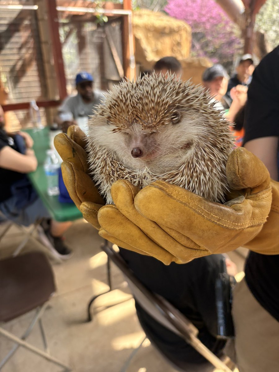 Ed Asner Family Center tweet media