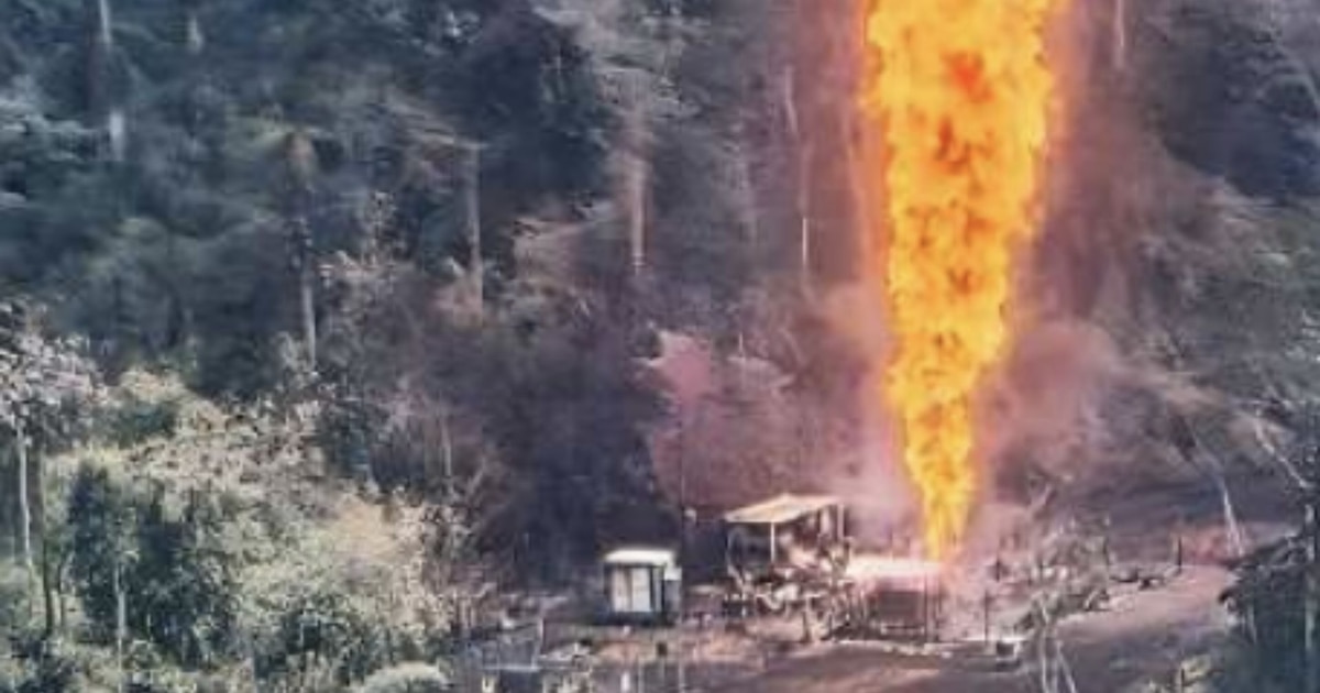 David Ortecho tweet media