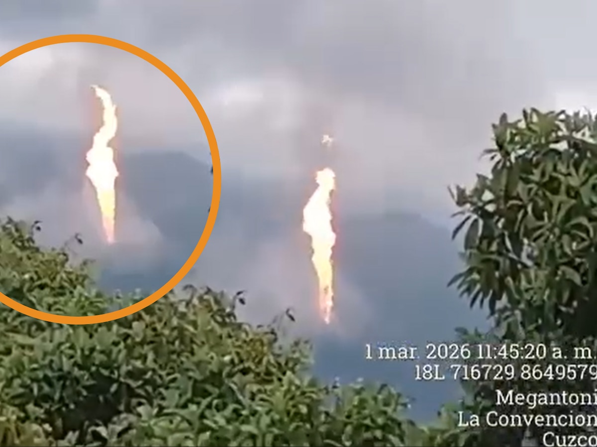 David Ortecho tweet media