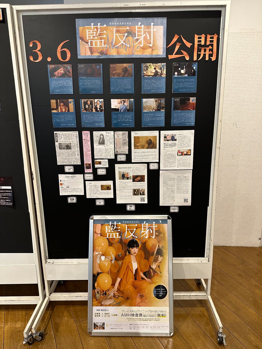 🦐おぼらだれん🧠 tweet media
