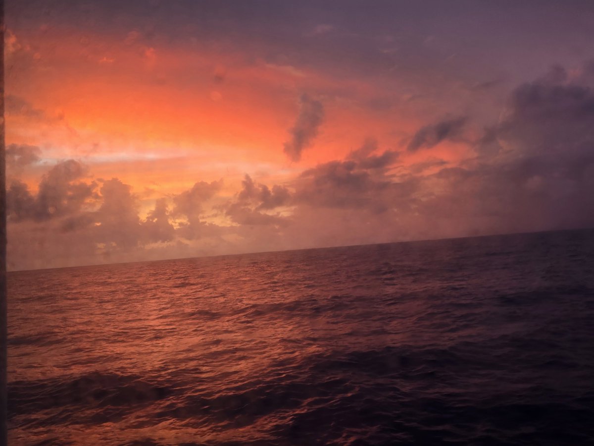 Rebecca Avshalom tweet media