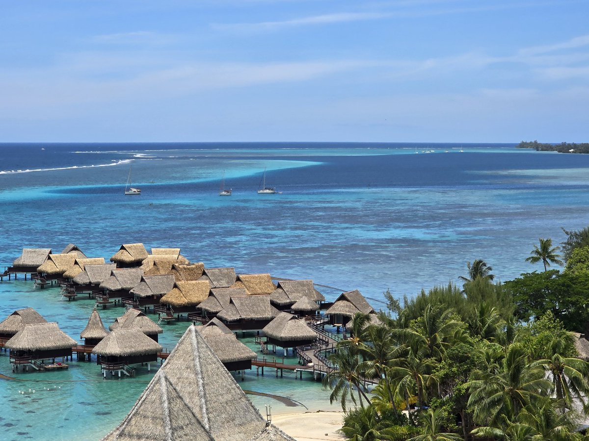 Rebecca Avshalom tweet media