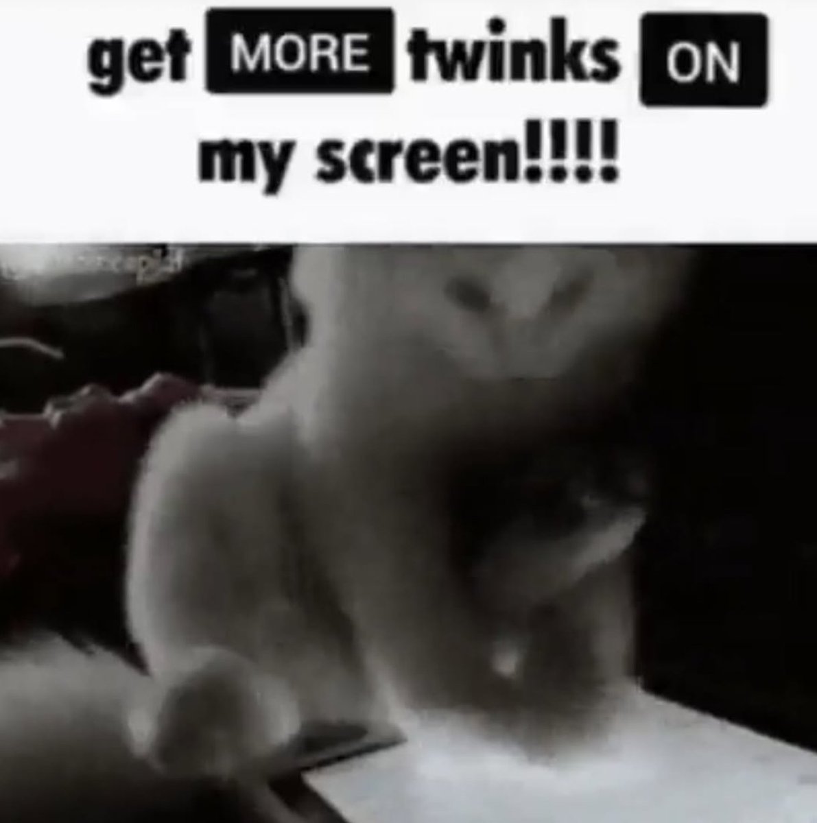 i drink soup tweet media