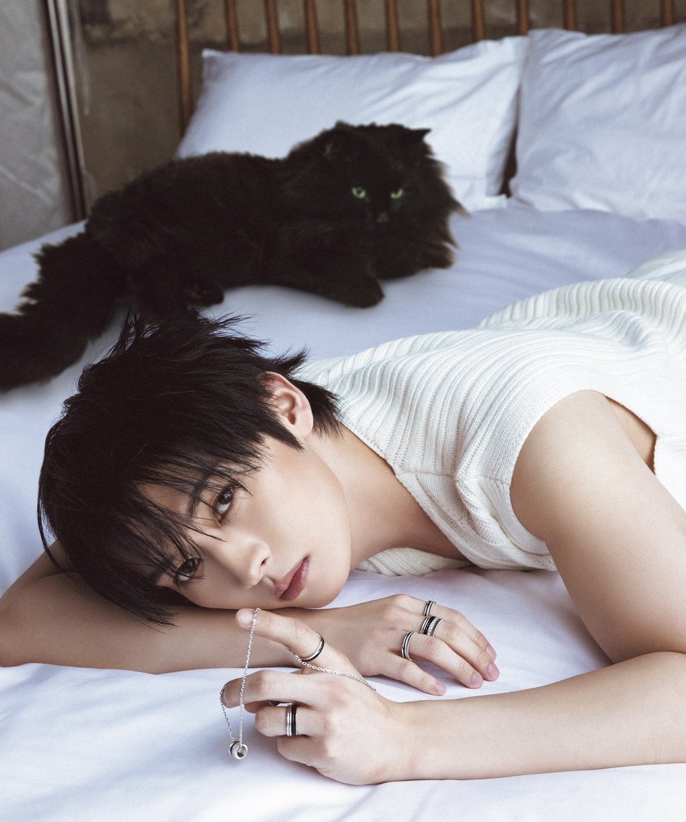 Lily 🍰｡ৎ tweet media