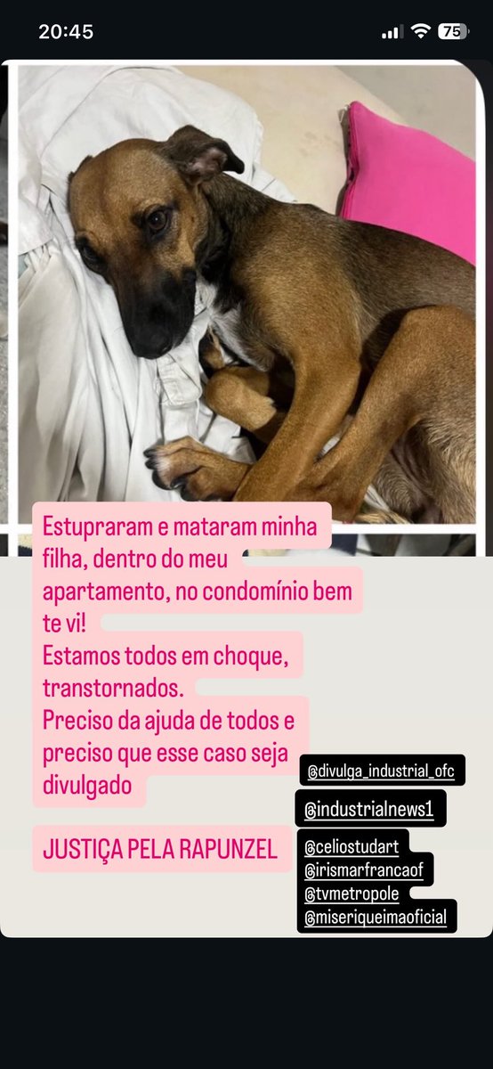 #JustiçaPorRapunzel
Cachorrinha estuprada dentro de sua própria casa.
Ela lutou pela vida o quanto pode.
Ela merecia viver.💔