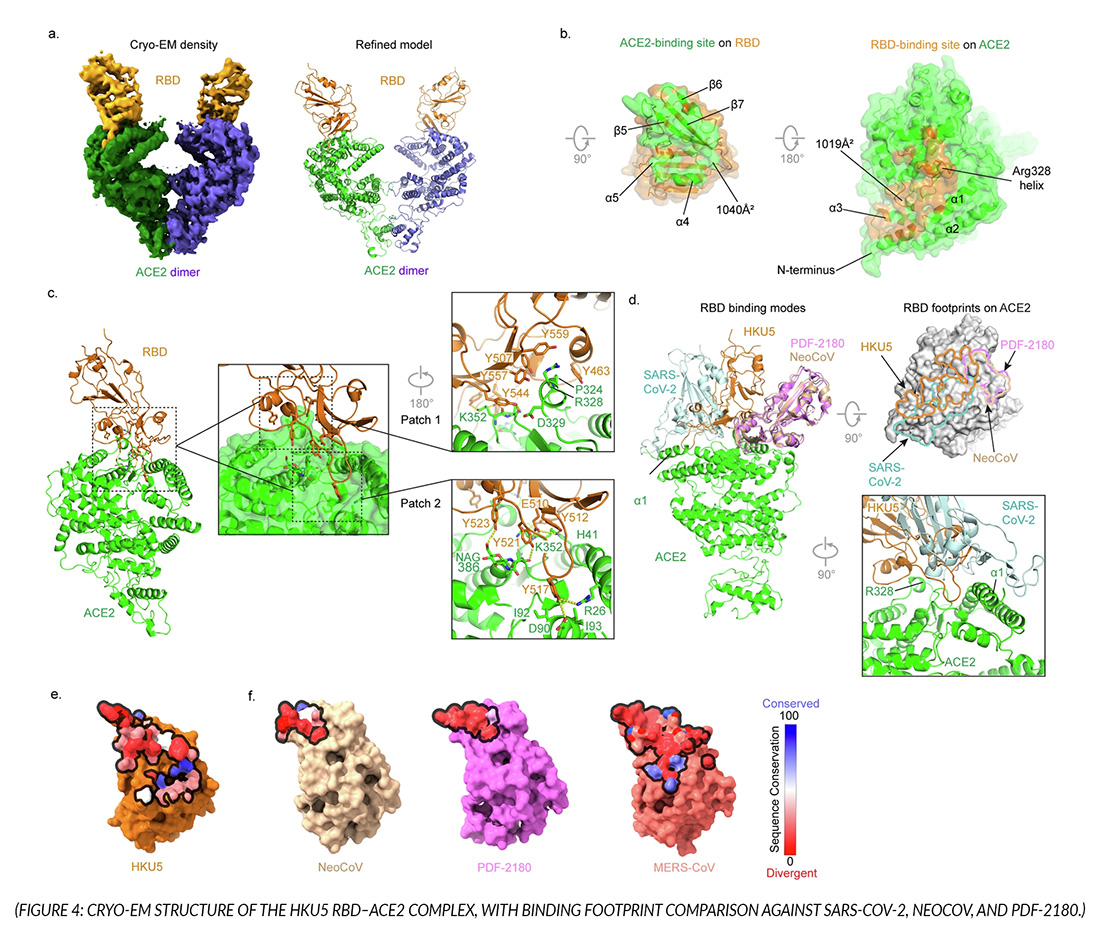 Direct Electron tweet media
