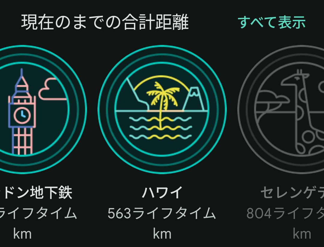 osarusann's tweet image. ハワイです。