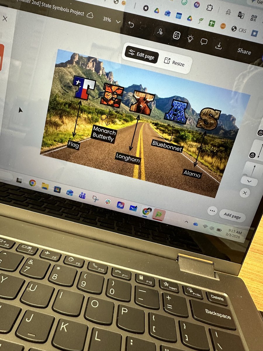 Amy Storer tweet media