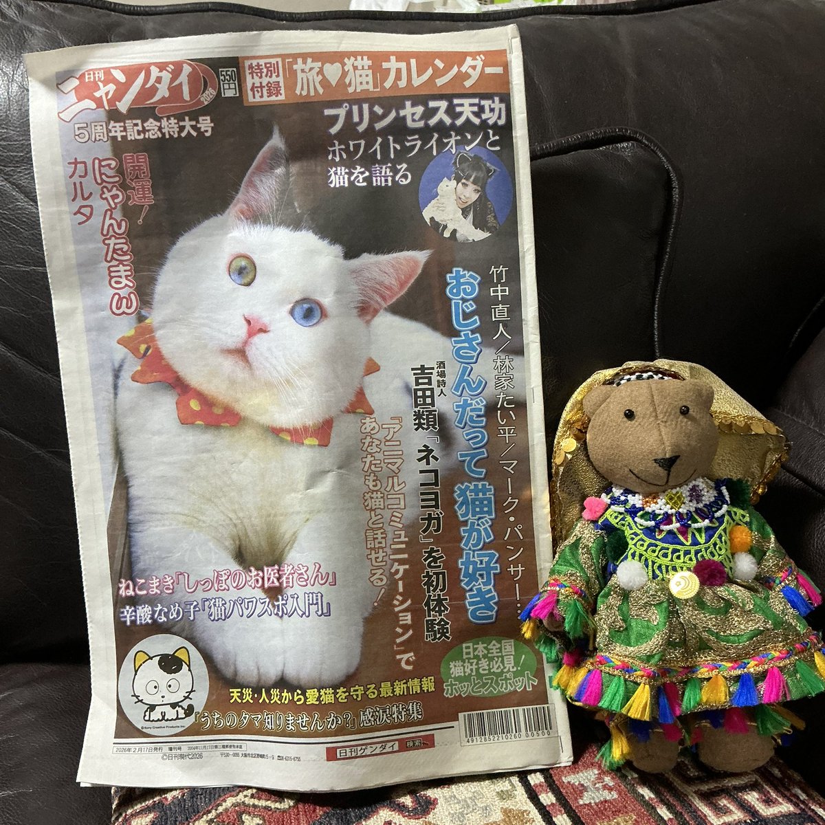 日刊ニャンダイ (@nikkan_nyandai) / Posts / X