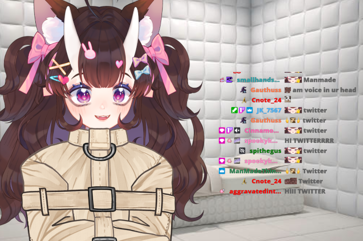 Chitzee 🎀✨ tweet media