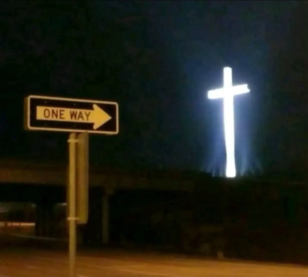 Perseverance & Promise tweet media