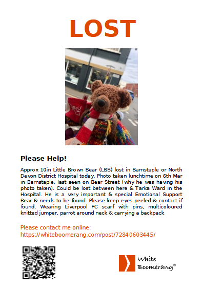 Hanley Bear ⚽️ tweet media