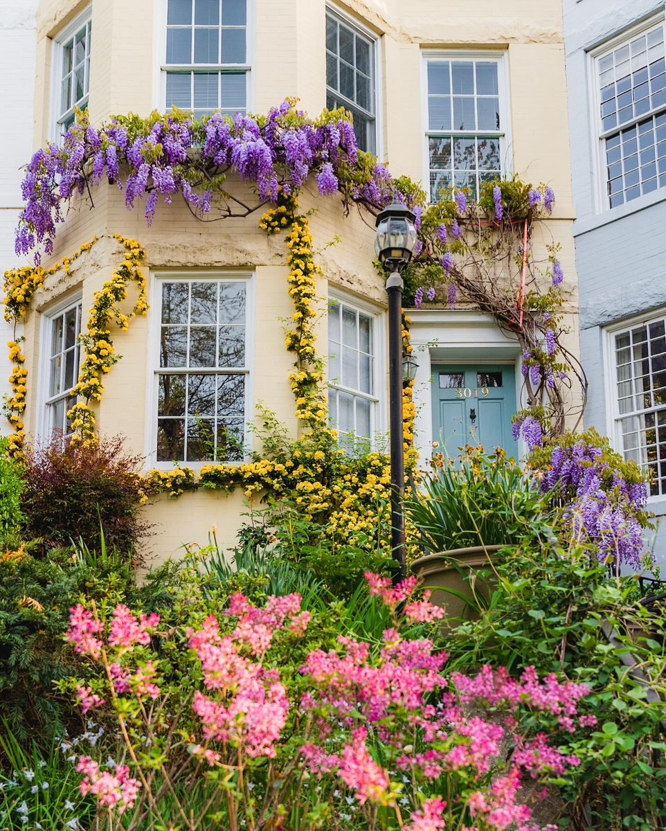 Visit Washington, DC tweet media