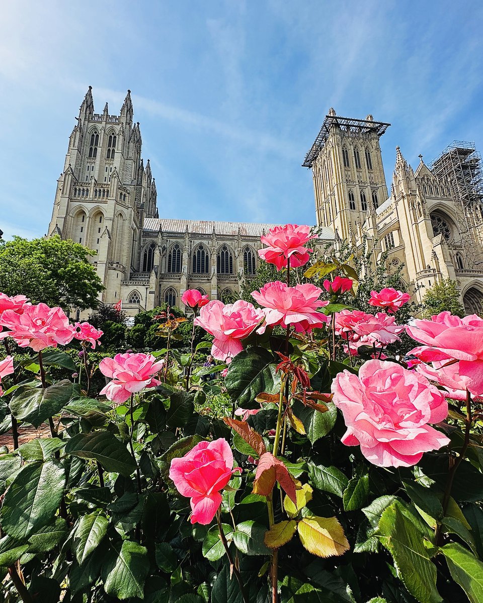 Visit Washington, DC tweet media