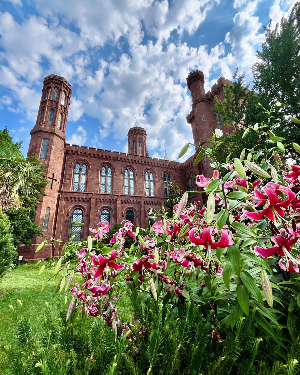 Visit Washington, DC tweet media