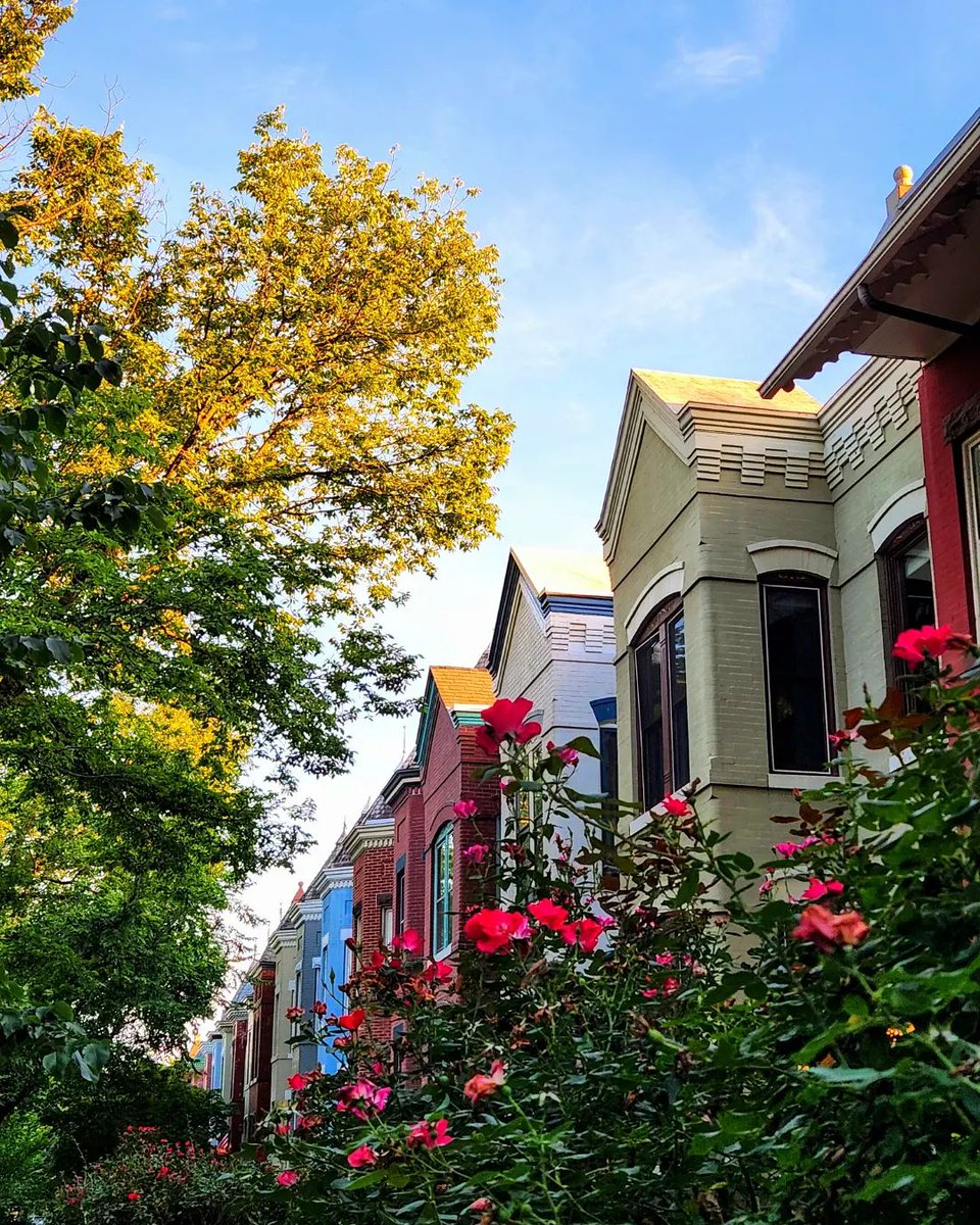 Visit Washington, DC tweet media