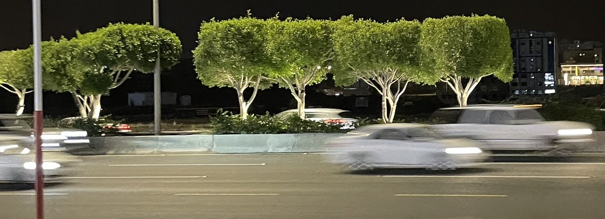 محيّـا tweet media