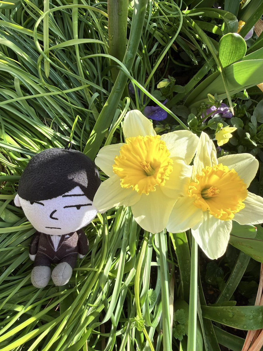 𝒎 𝒆 𝒍 𝒐 𝒅 𝒚 ☆༻¨* (@melody25912864) / Posts / X