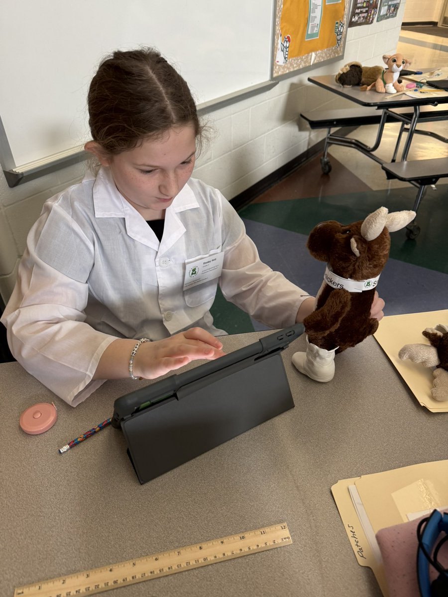 MPS Instructional Tech tweet media