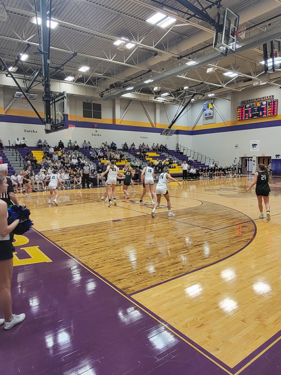 Your Daily Stang tweet media