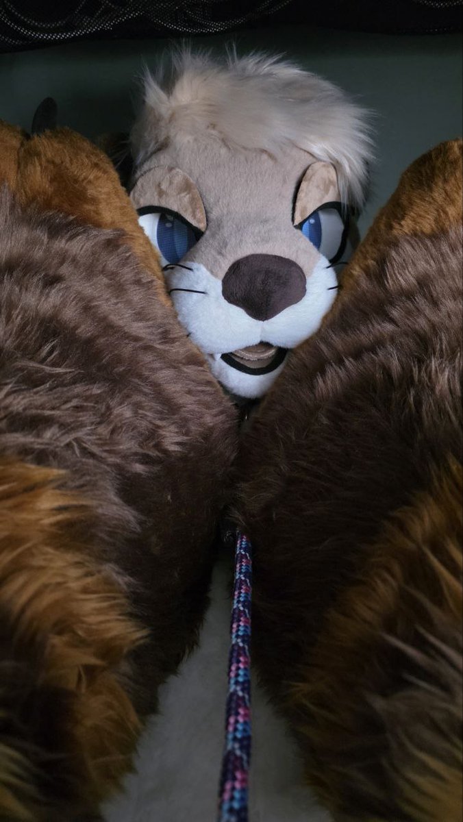 Tesser 🔜 FWA, AC tweet media