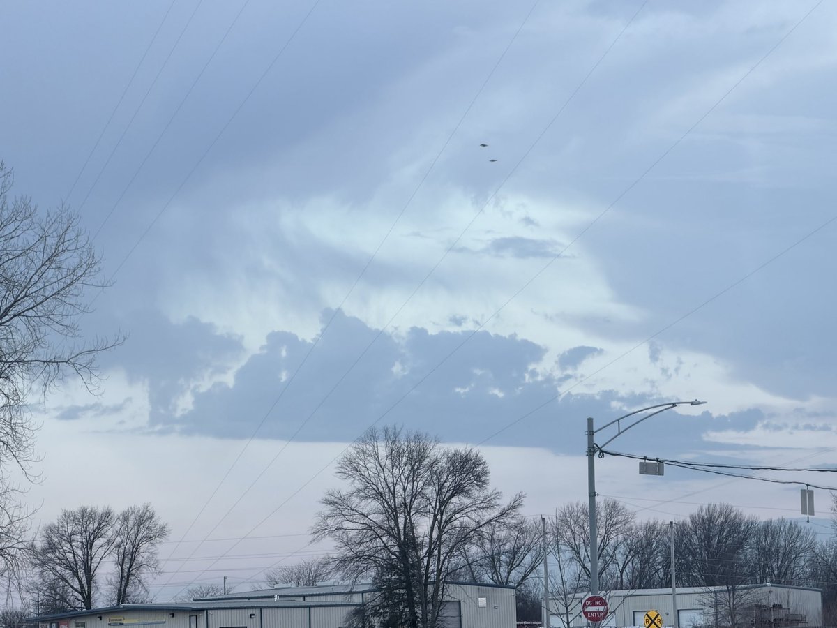 Language of Bromance tweet media