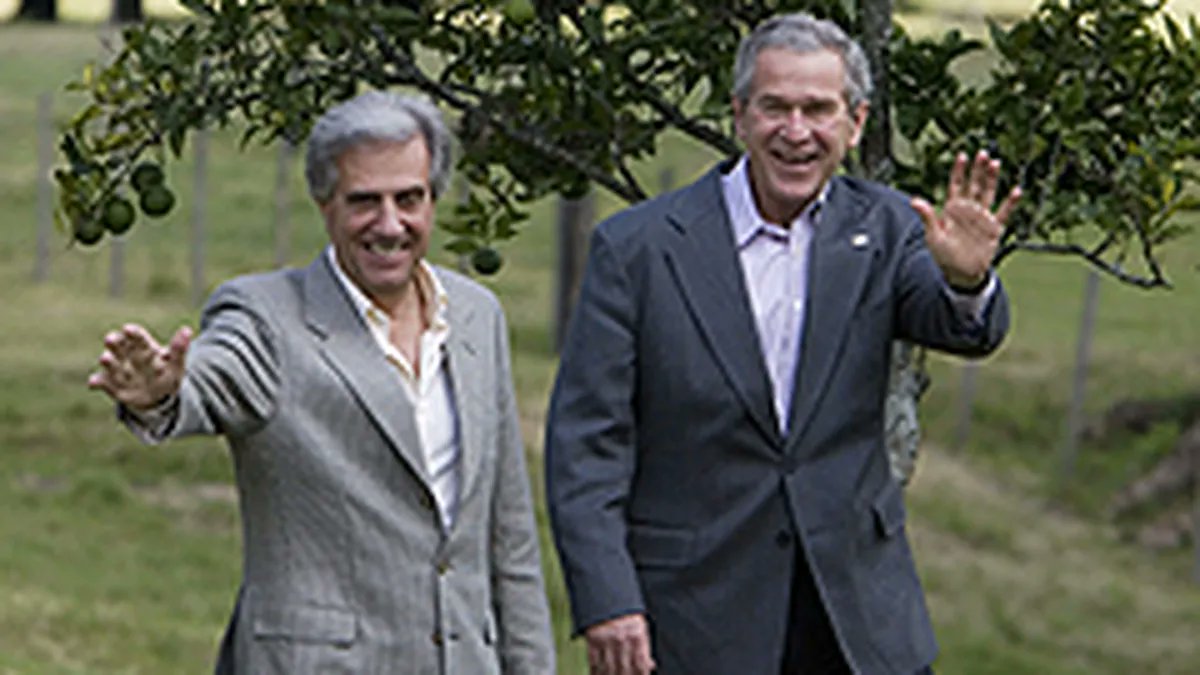 Gerardo Bassorelli tweet media