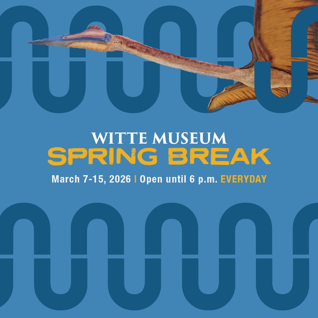 Witte Museum ~ Nature, Science & Culture tweet media