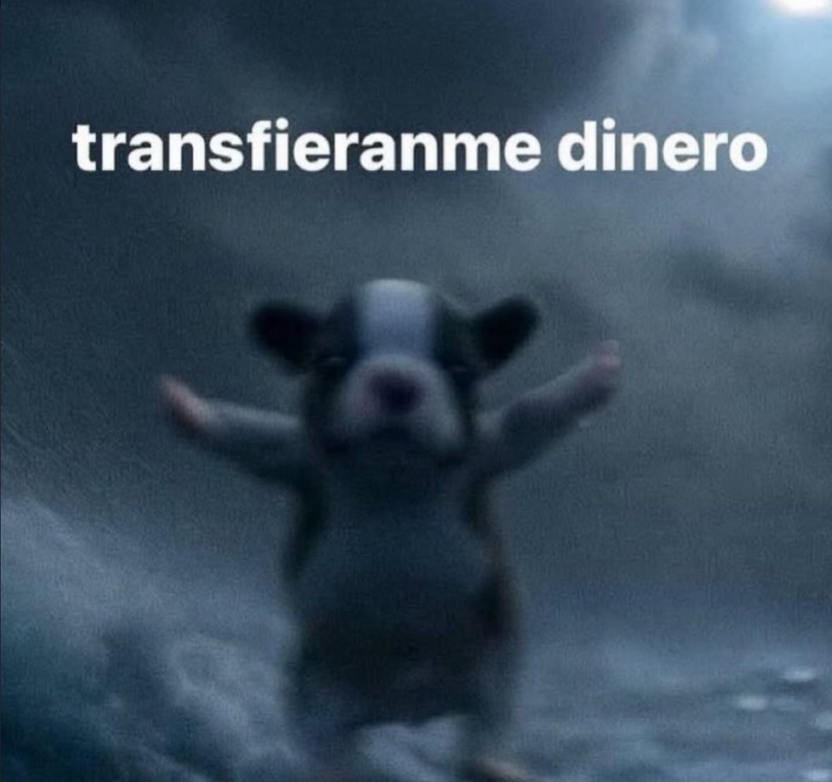 memes feos yo qué sé (@memefeos) on Twitter photo 