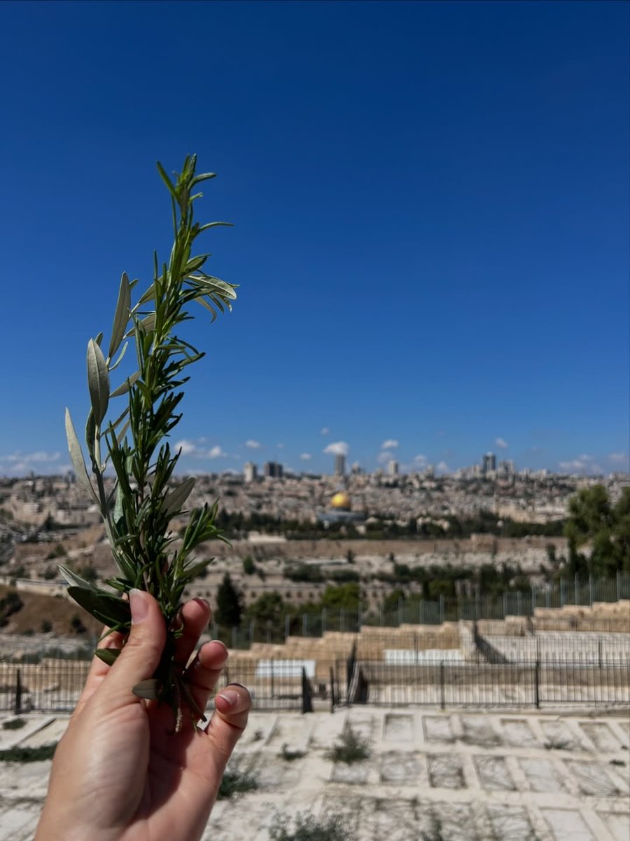 Muhammad Smiry 🇵🇸 tweet media