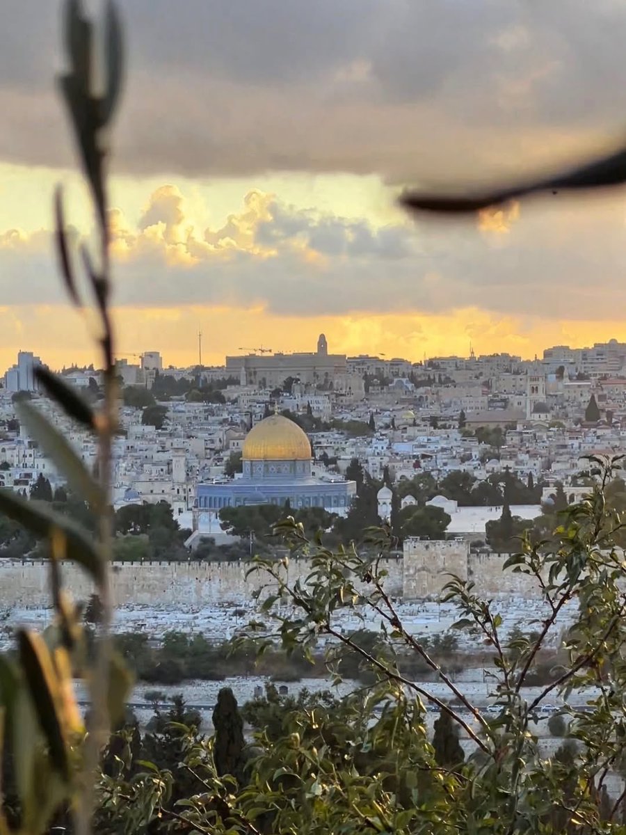 Muhammad Smiry 🇵🇸 tweet media