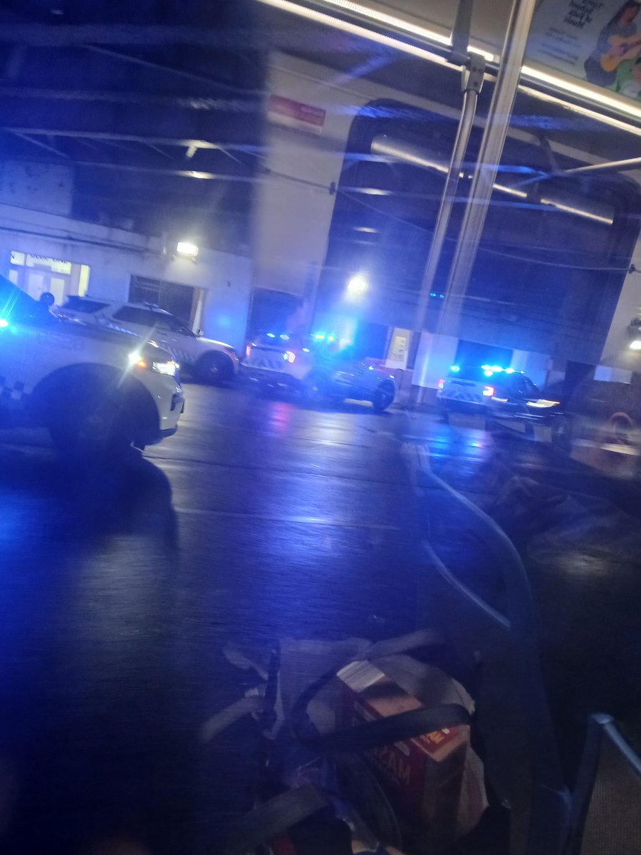 𝕮𝖍𝖎𝖈𝖆𝖌𝖔𝕾𝖈𝖆𝖓𝖓𝖊𝖗 tweet media