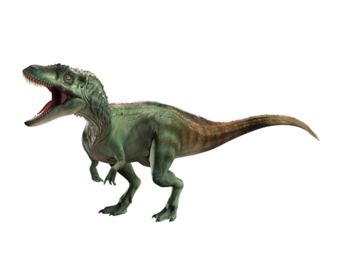 Barionix Rex tweet media