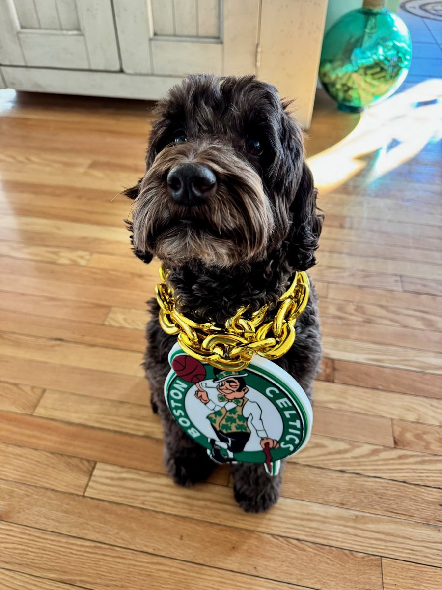 Brown Gen Surg Residency tweet media