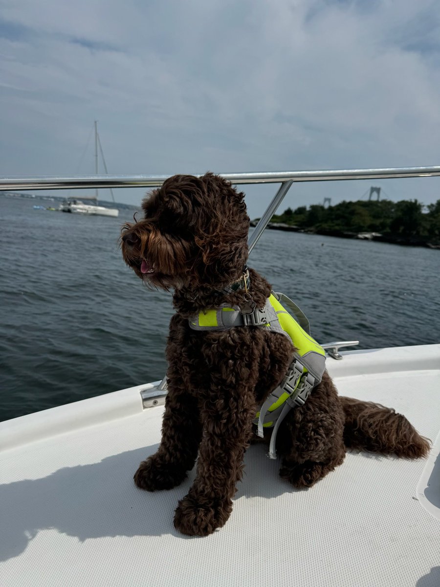 Brown Gen Surg Residency tweet media