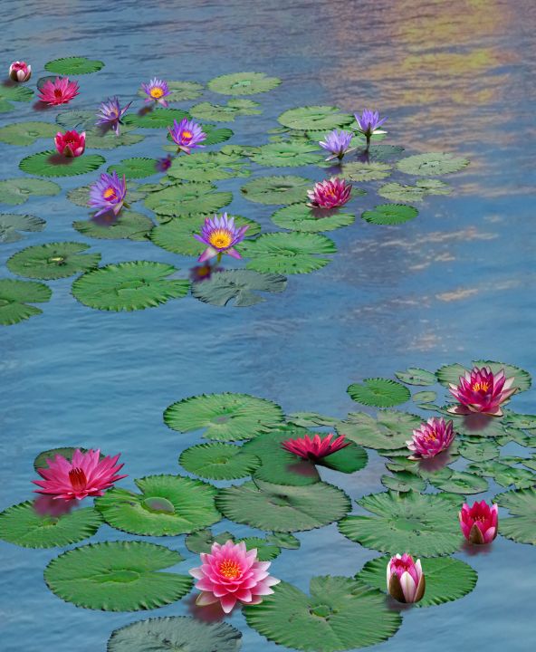Susviv_oxild's tweet photo. Art of the Day! "Reflection of Monet's "Water Lilies"". Buy at: https://t.co/WT6PBMupRx https://t.co/8kg3aC7JZR