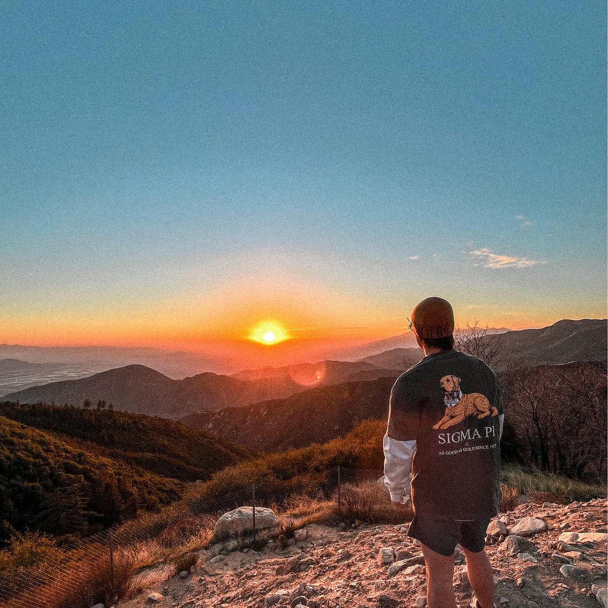 Sigma Pi Fraternity tweet media