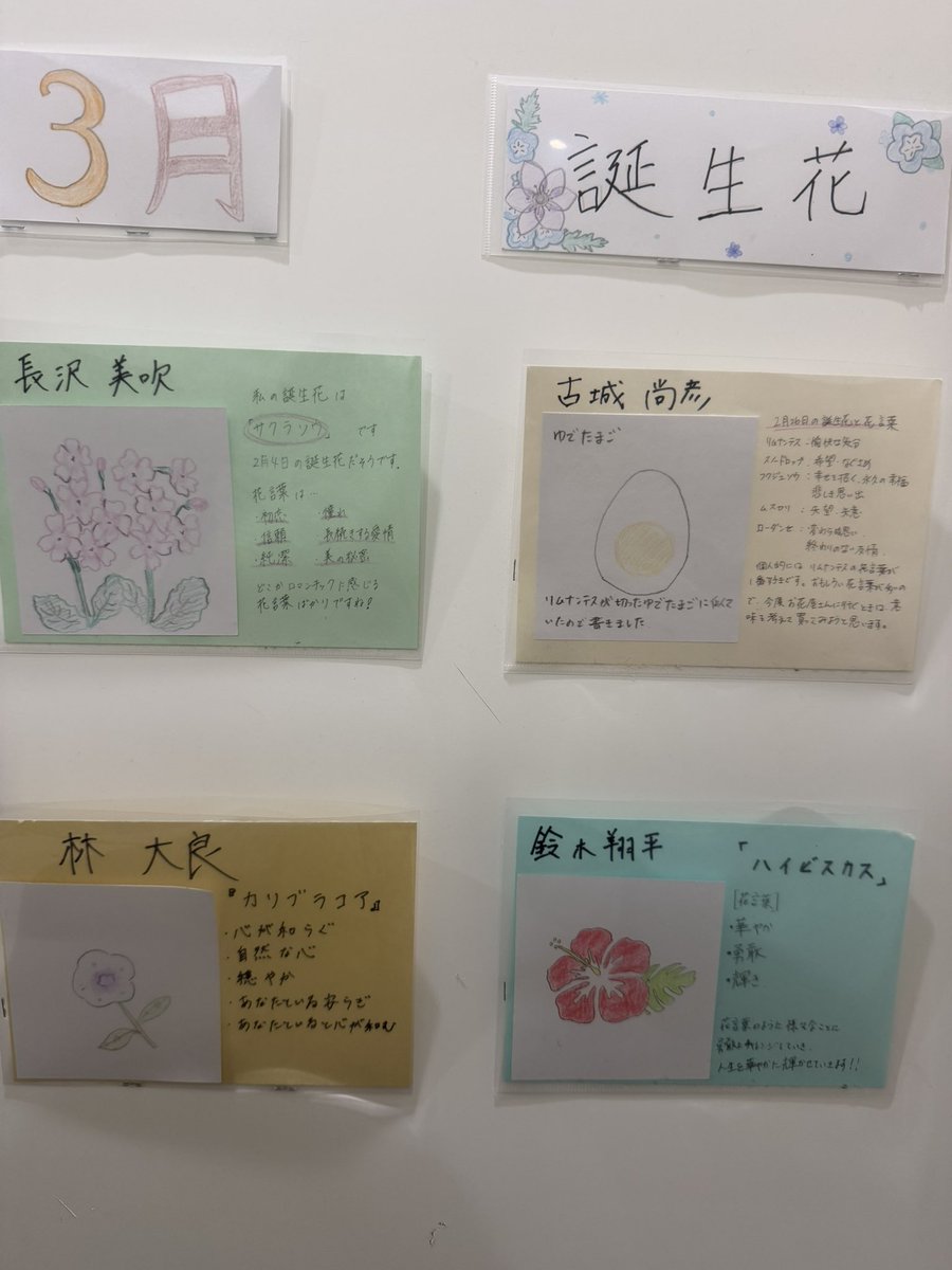 稲田雄治 tweet media