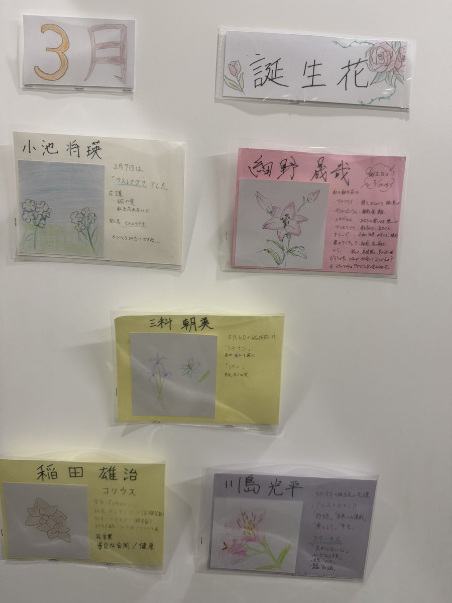 稲田雄治 tweet media