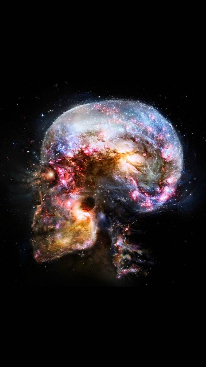 All day Astronomy tweet media