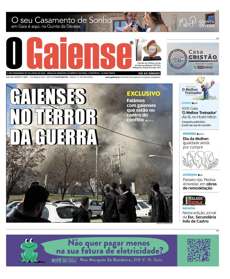 OGaiense tweet media