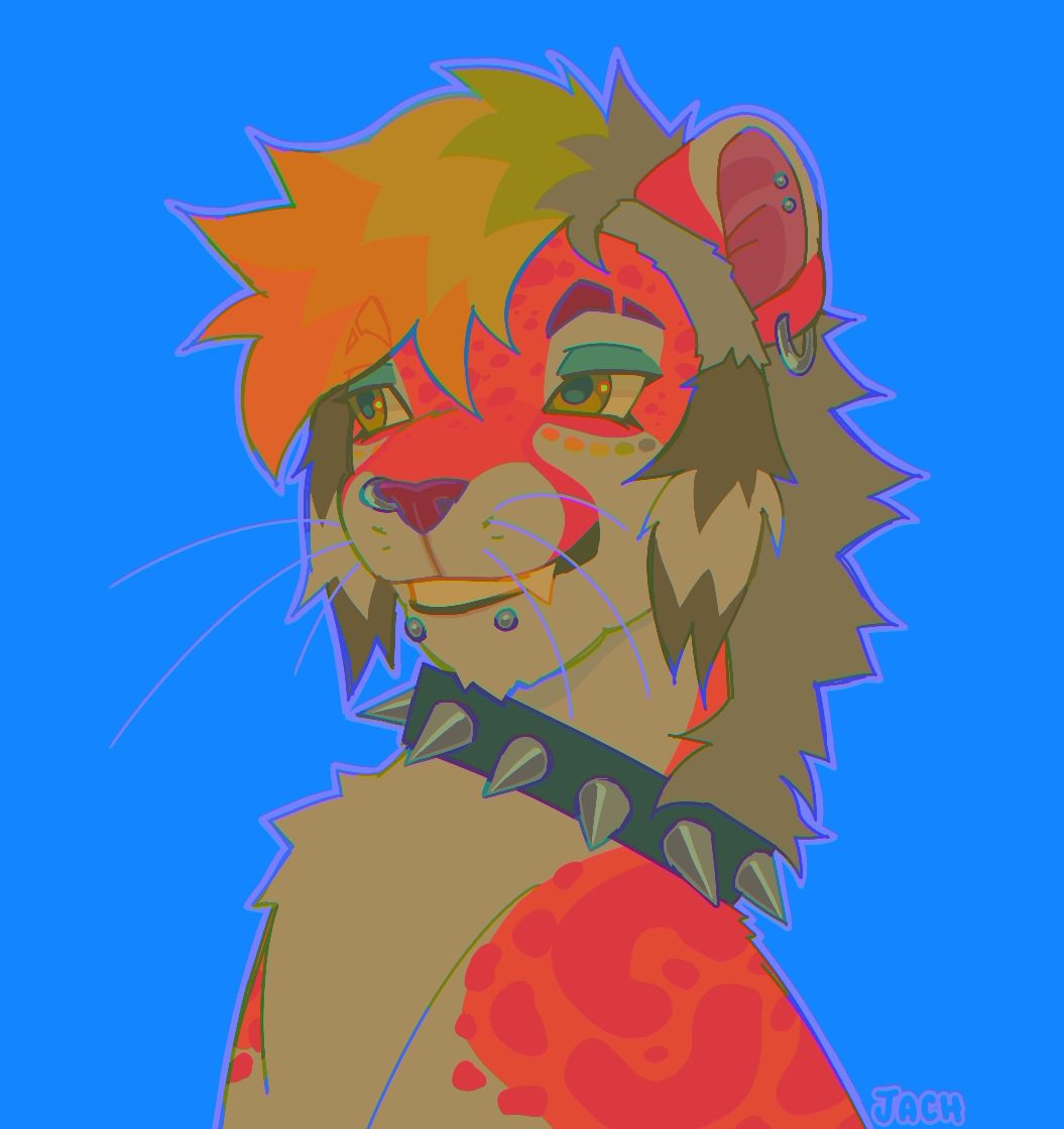 jach 👽 tweet media