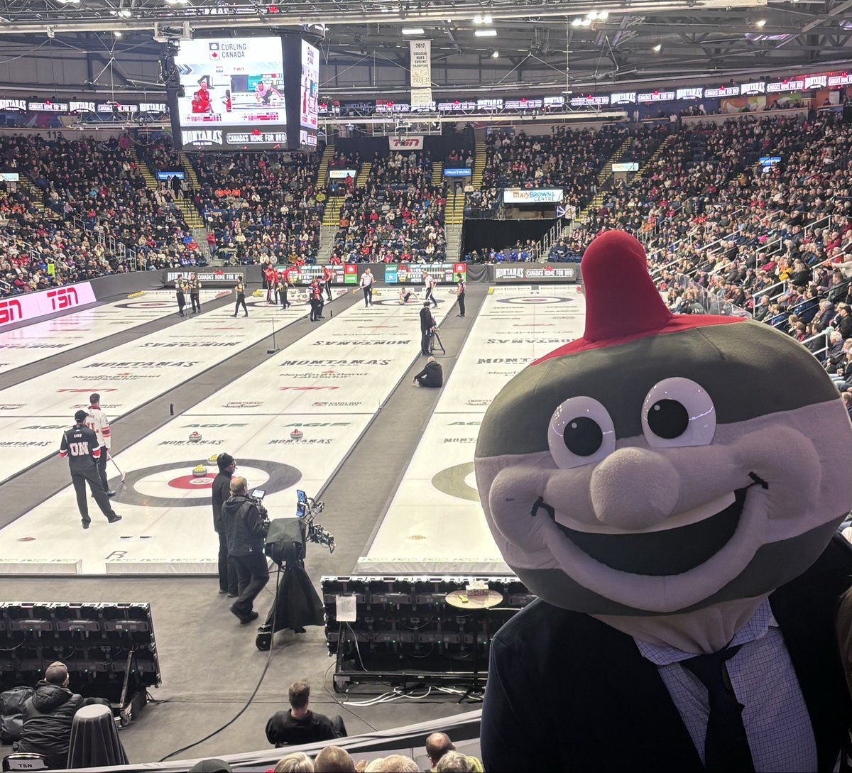 Curling NL tweet media