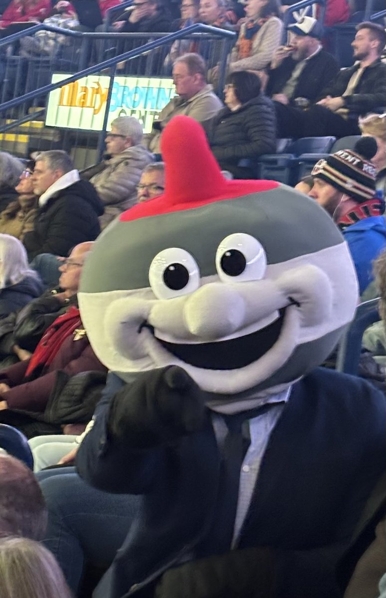 Curling NL tweet media