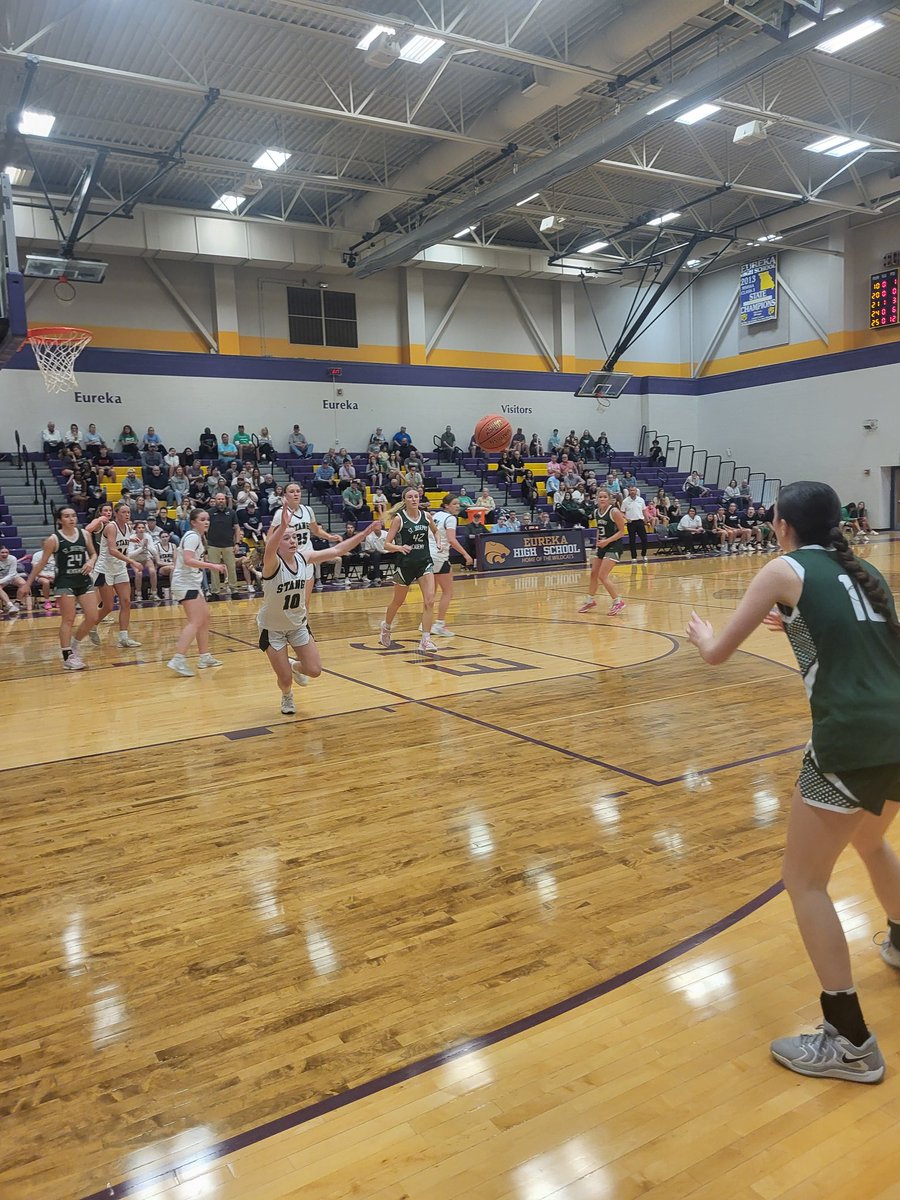 Your Daily Stang tweet media