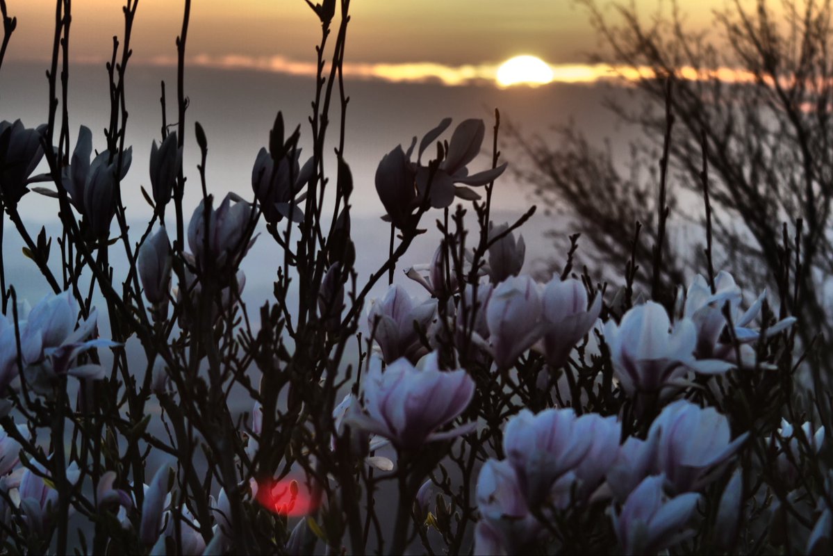 Ian George tweet media